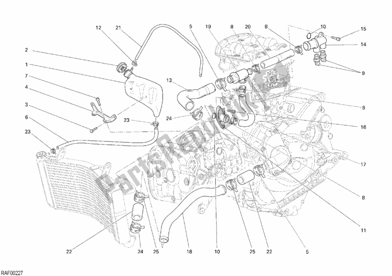All parts for the Cooling Circuit of the Ducati Monster S4 RS USA 1000 2007
